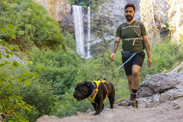 ⚡ Ruffwear Stash Bag Plus