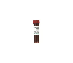 2X  Reaction-Lite PreMix
