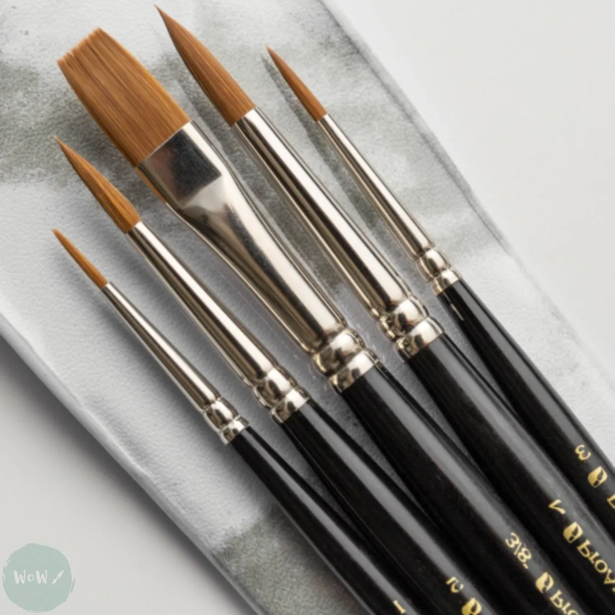 BRUSH SET -  PROLENE - Brush Wallet Set - W3