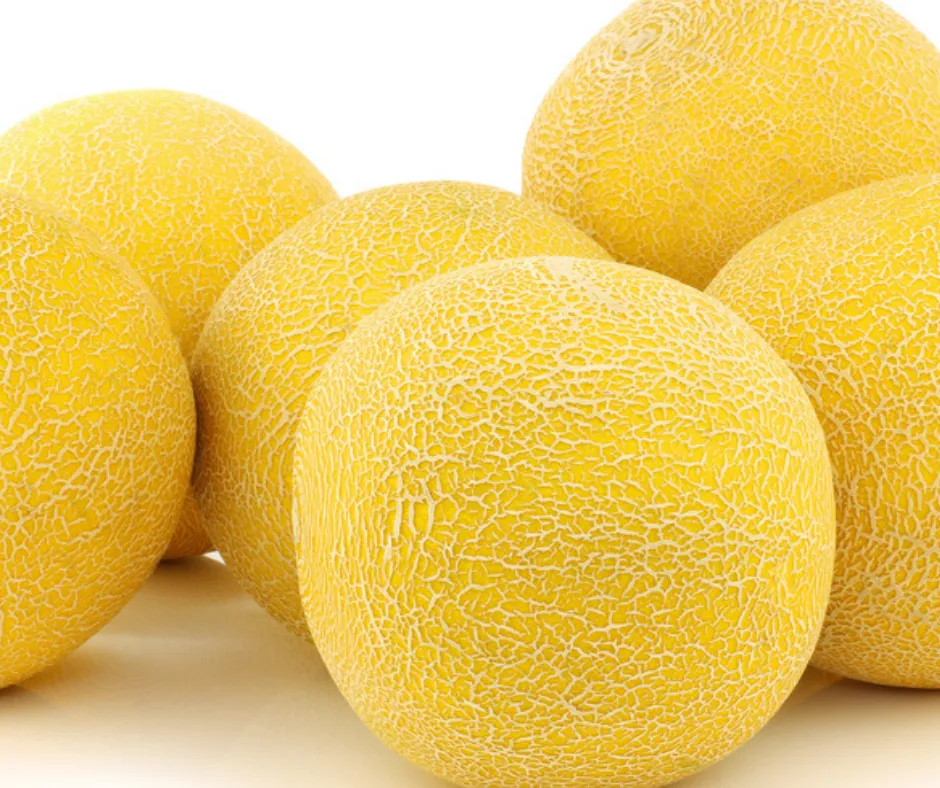 Cantaloupes