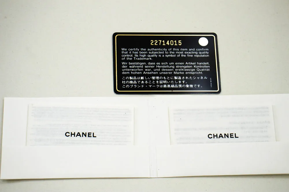 CHANEL Grained Calfskin Wallet On Chain WOC Black Shoulder Bag n82