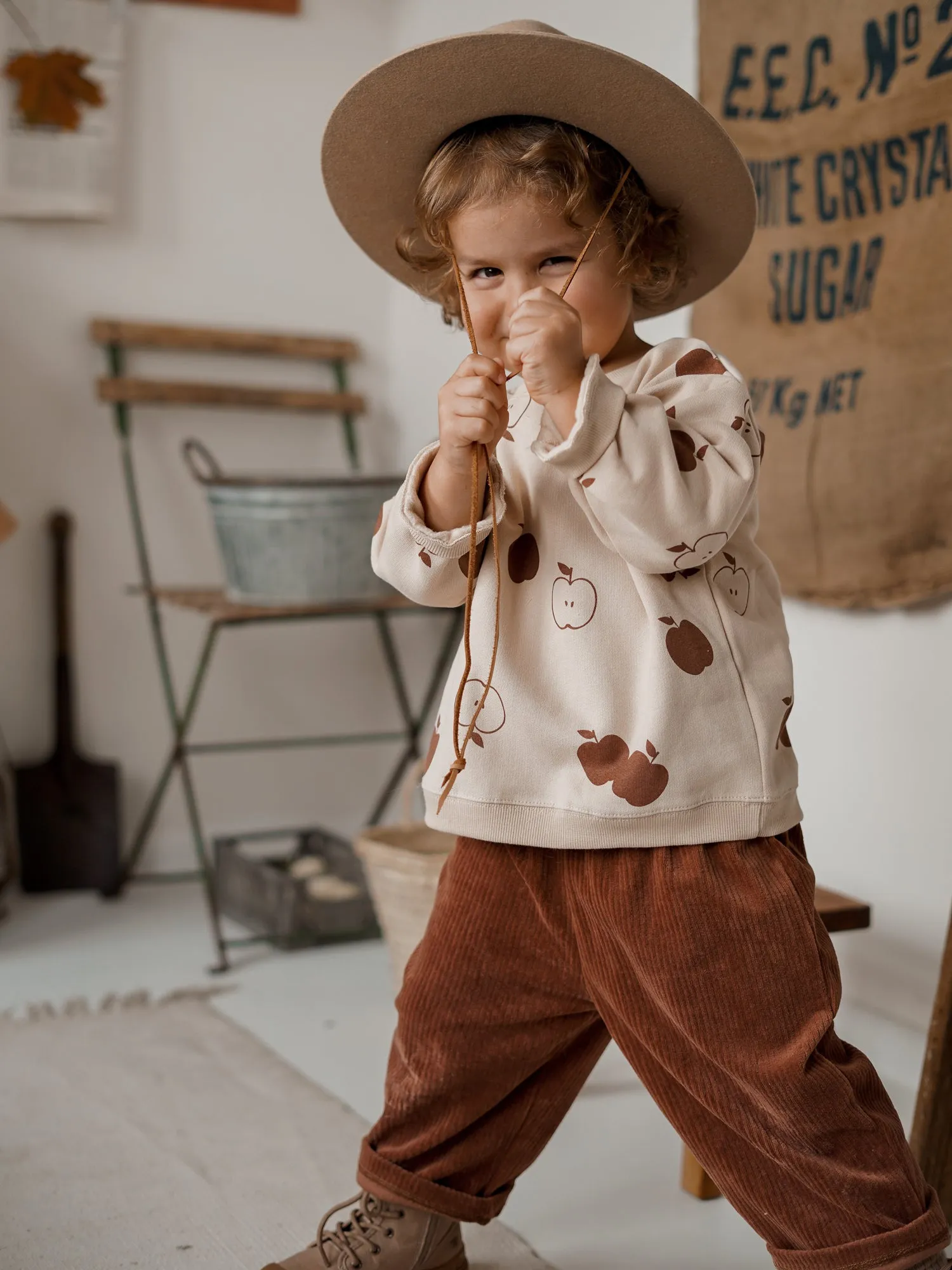 Cinnamon Apple Orchard Sweatshirt