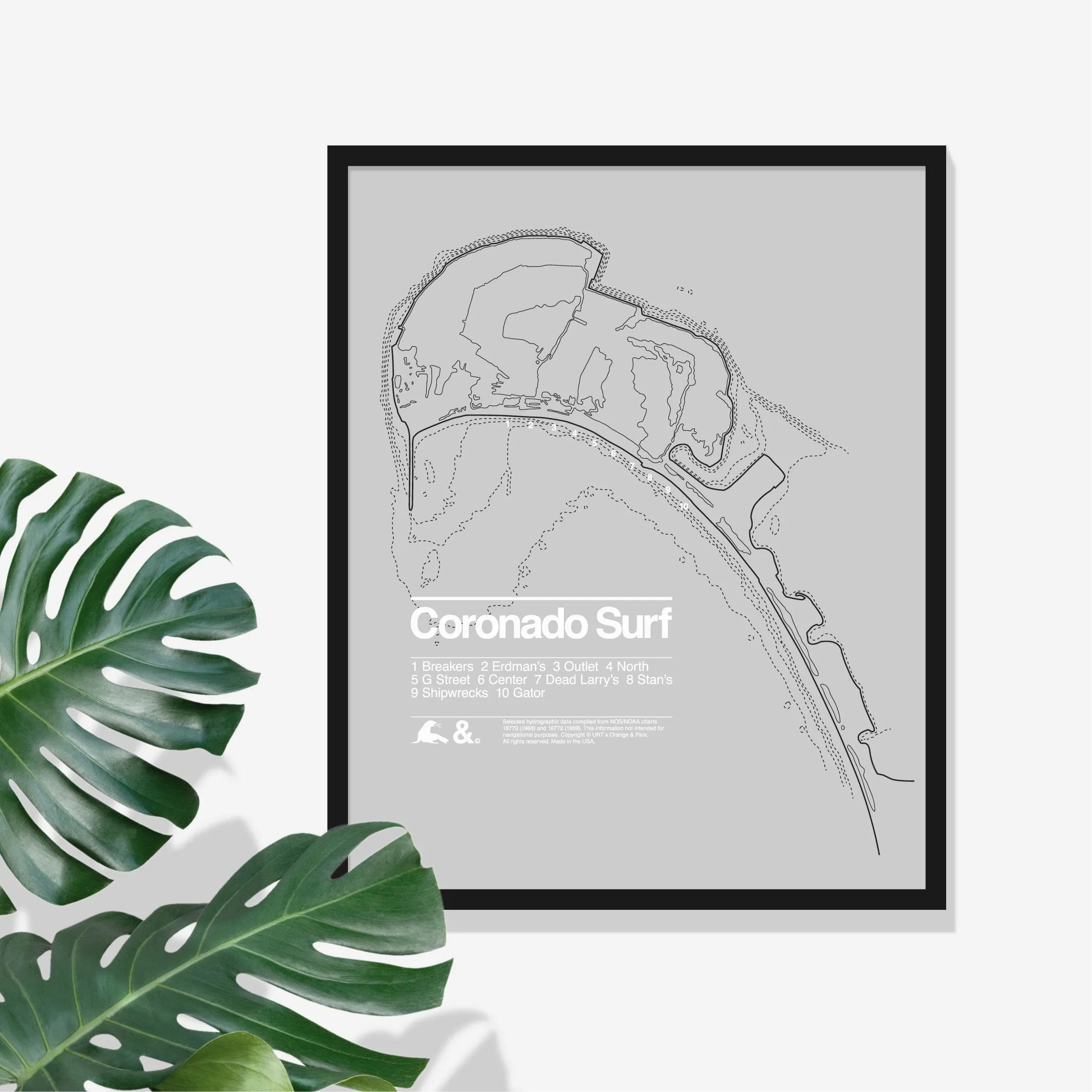 Coronado Surf Print