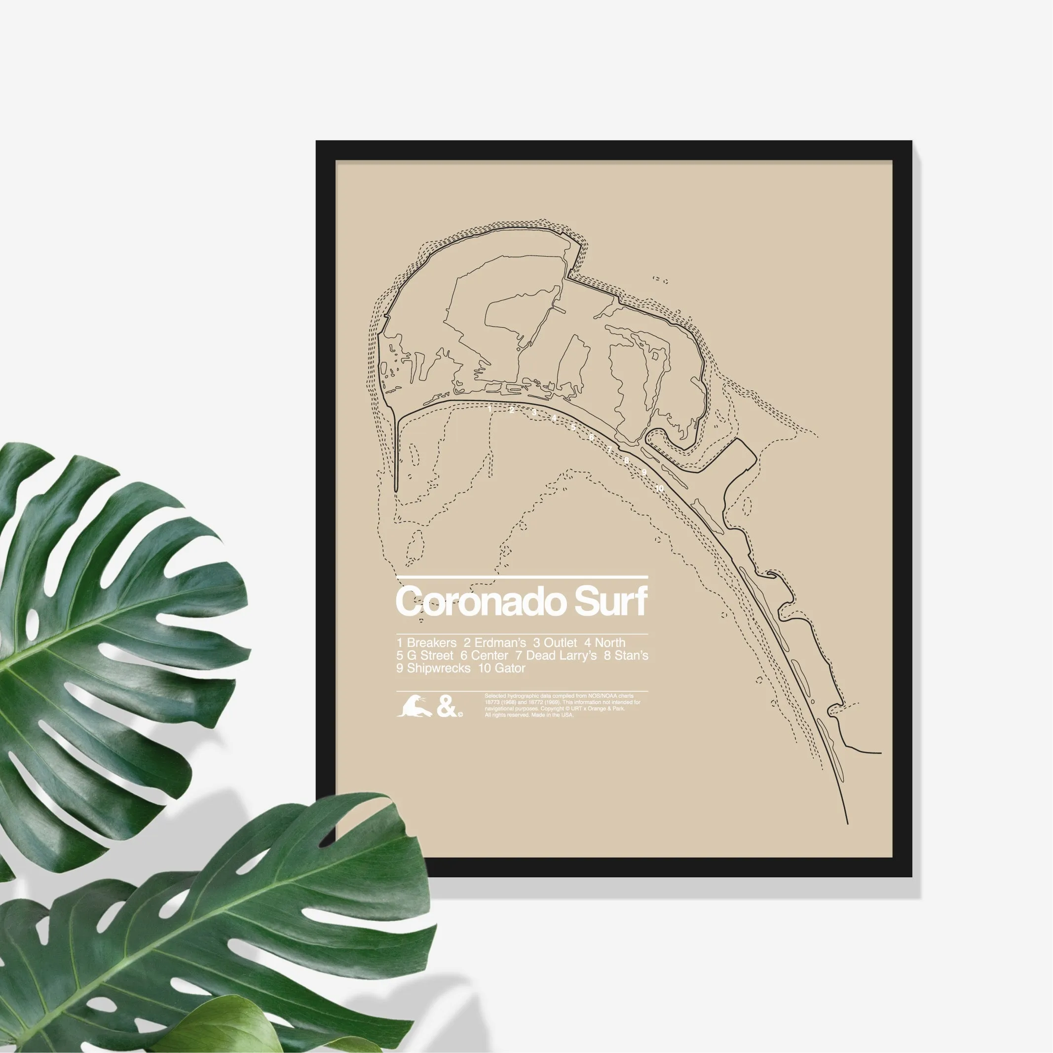 Coronado Surf Print