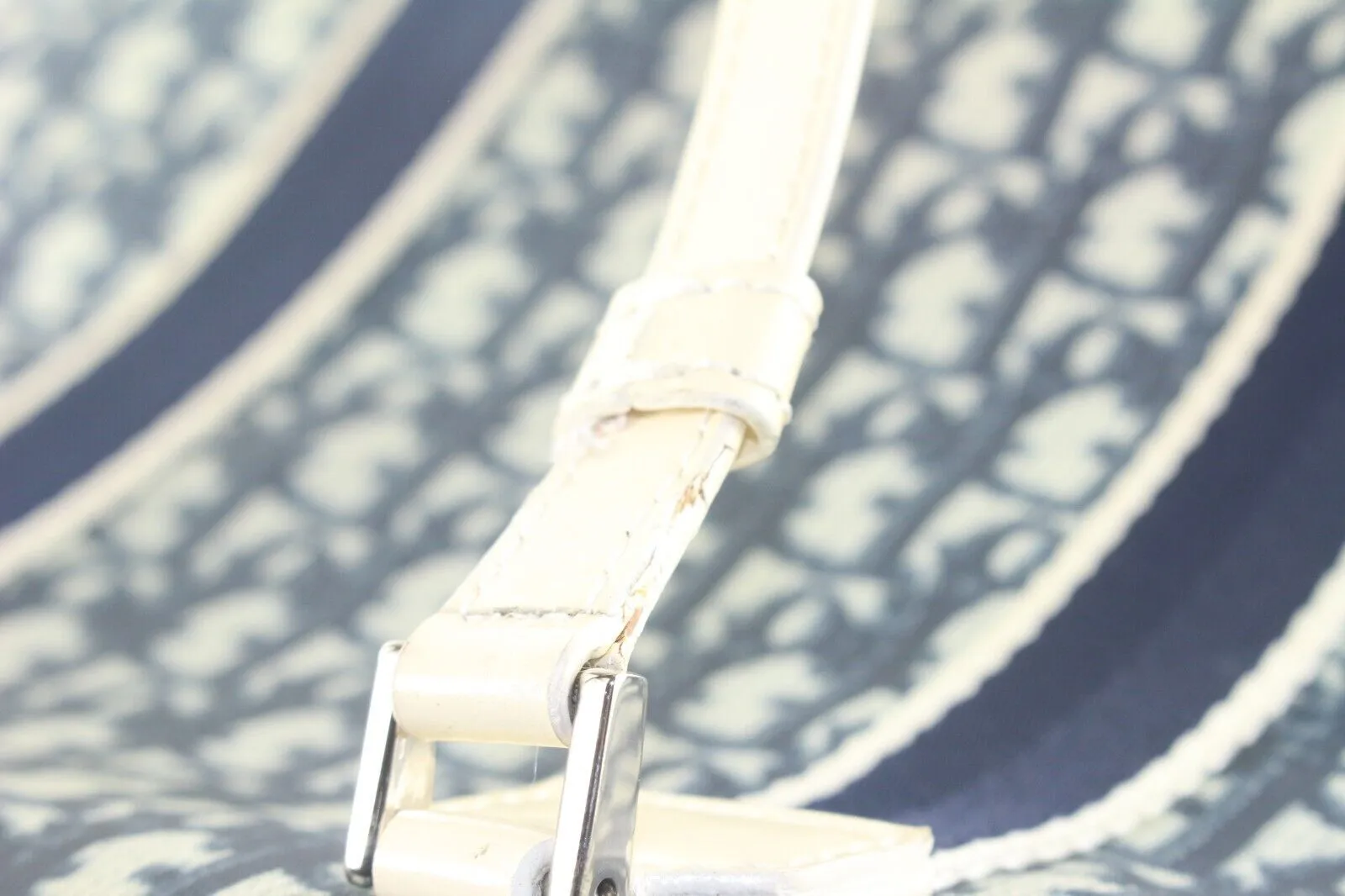 Dior Blue Monogram Trotter No. 1 Shopper Tote 3DD920K