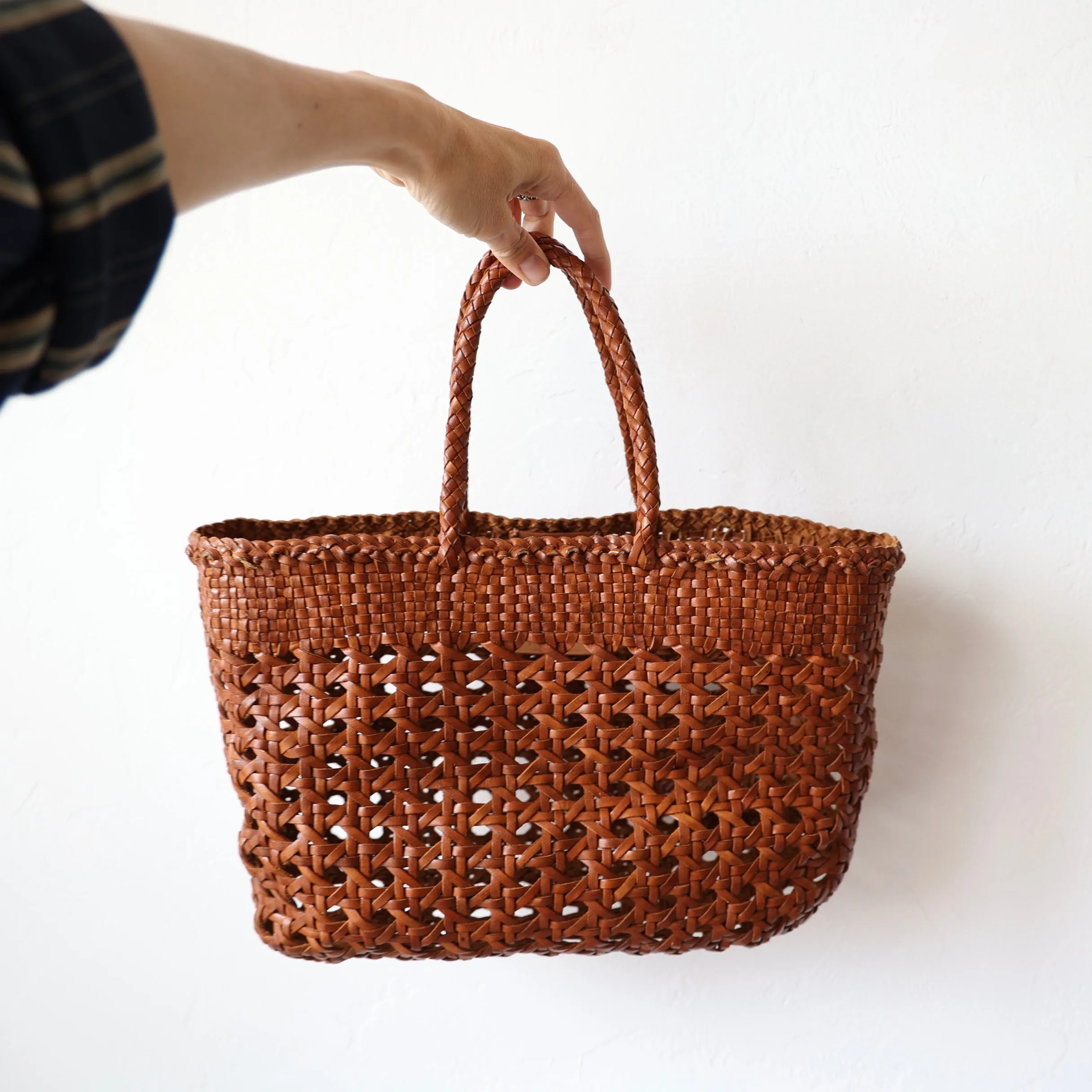Dragon Diffusion Day Bag - Tan