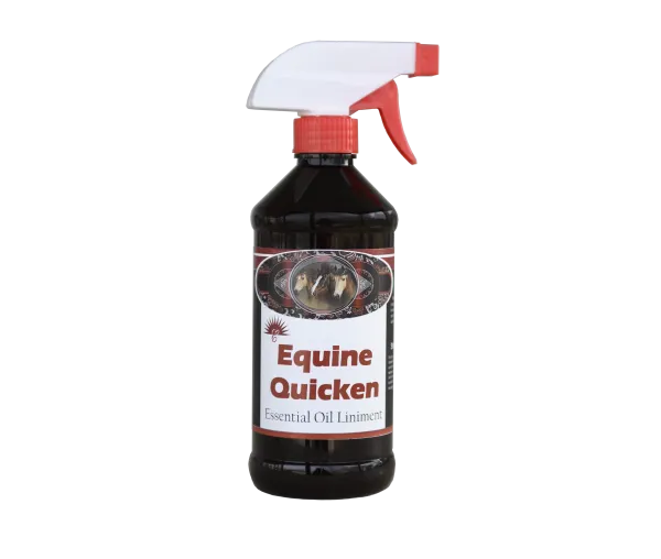 Equine Liniment Quicken