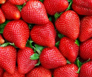 Florida Strawberries
