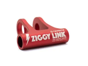 Forbidden Ziggy Link
