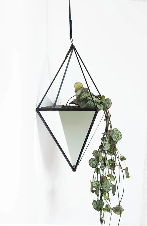 Geometric terrarium with mirrored glass - Indoor