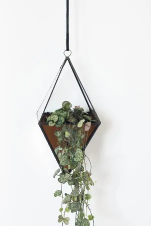 Geometric terrarium with mirrored glass - Indoor