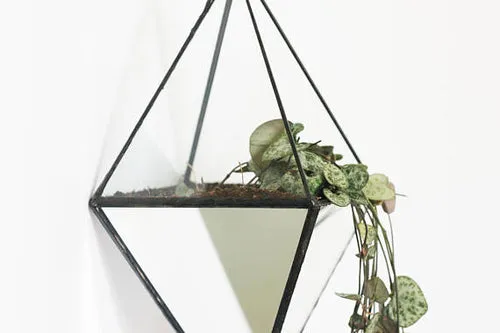 Geometric terrarium with mirrored glass - Indoor