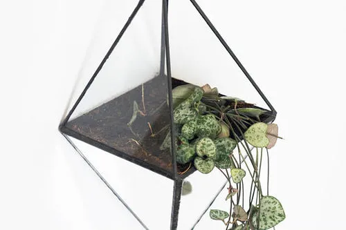 Geometric terrarium with mirrored glass - Indoor