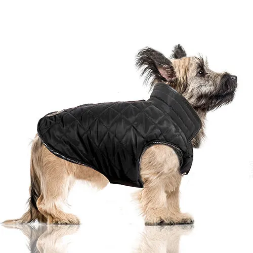 GRAHAM Reversible Dog Coat in Charcoal Chevron and Black
