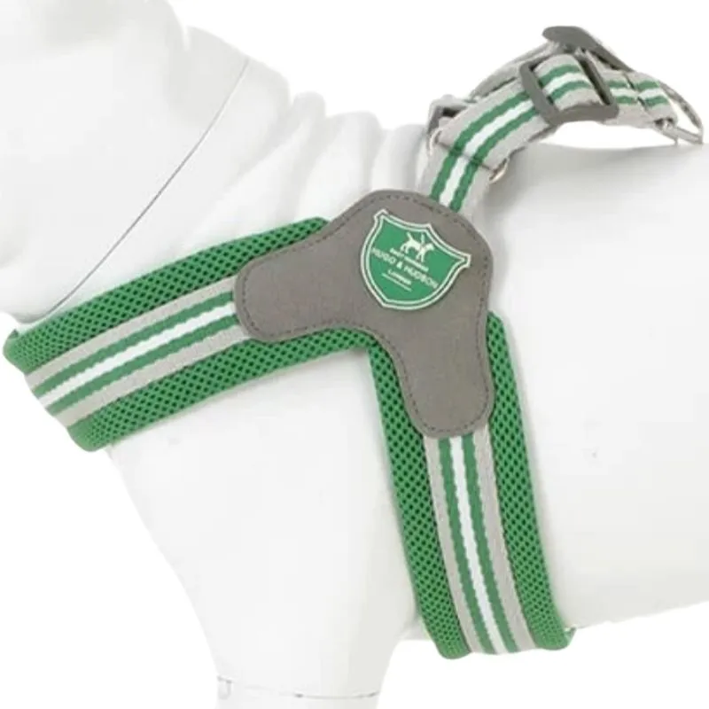 Green Stripe Dog Harness