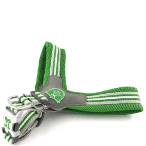 Green Stripe Dog Harness