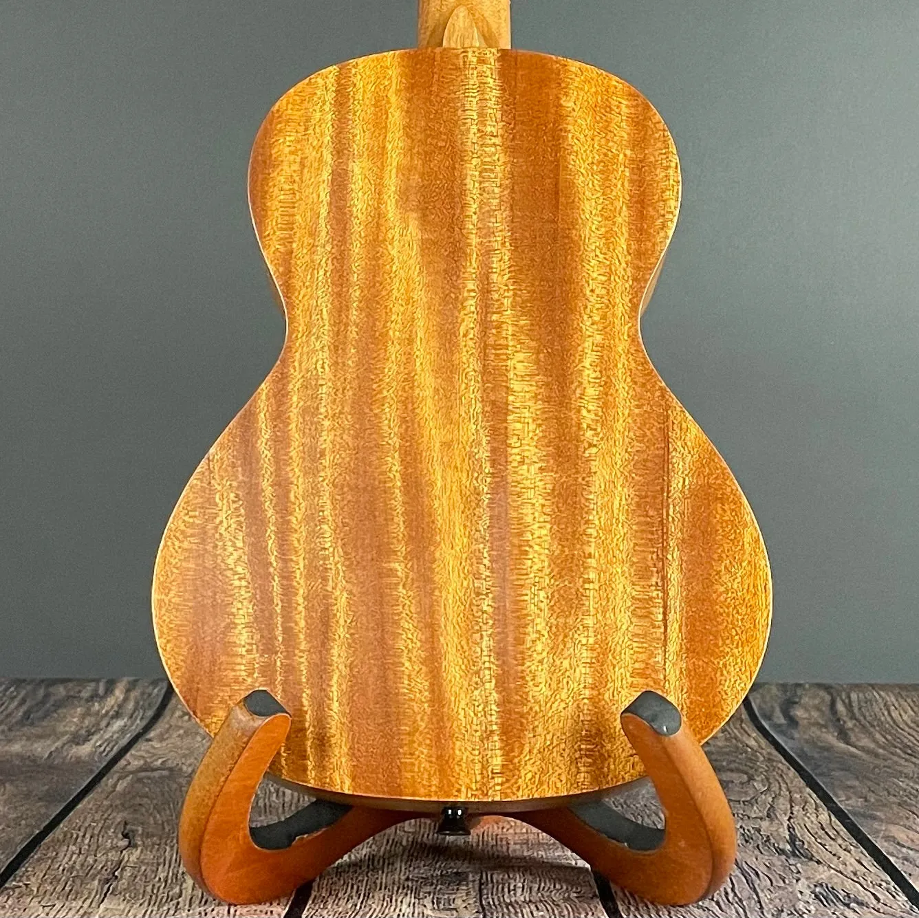 Kala Mandy Harvey Learn To Play Signature Series Tenor Ukulele