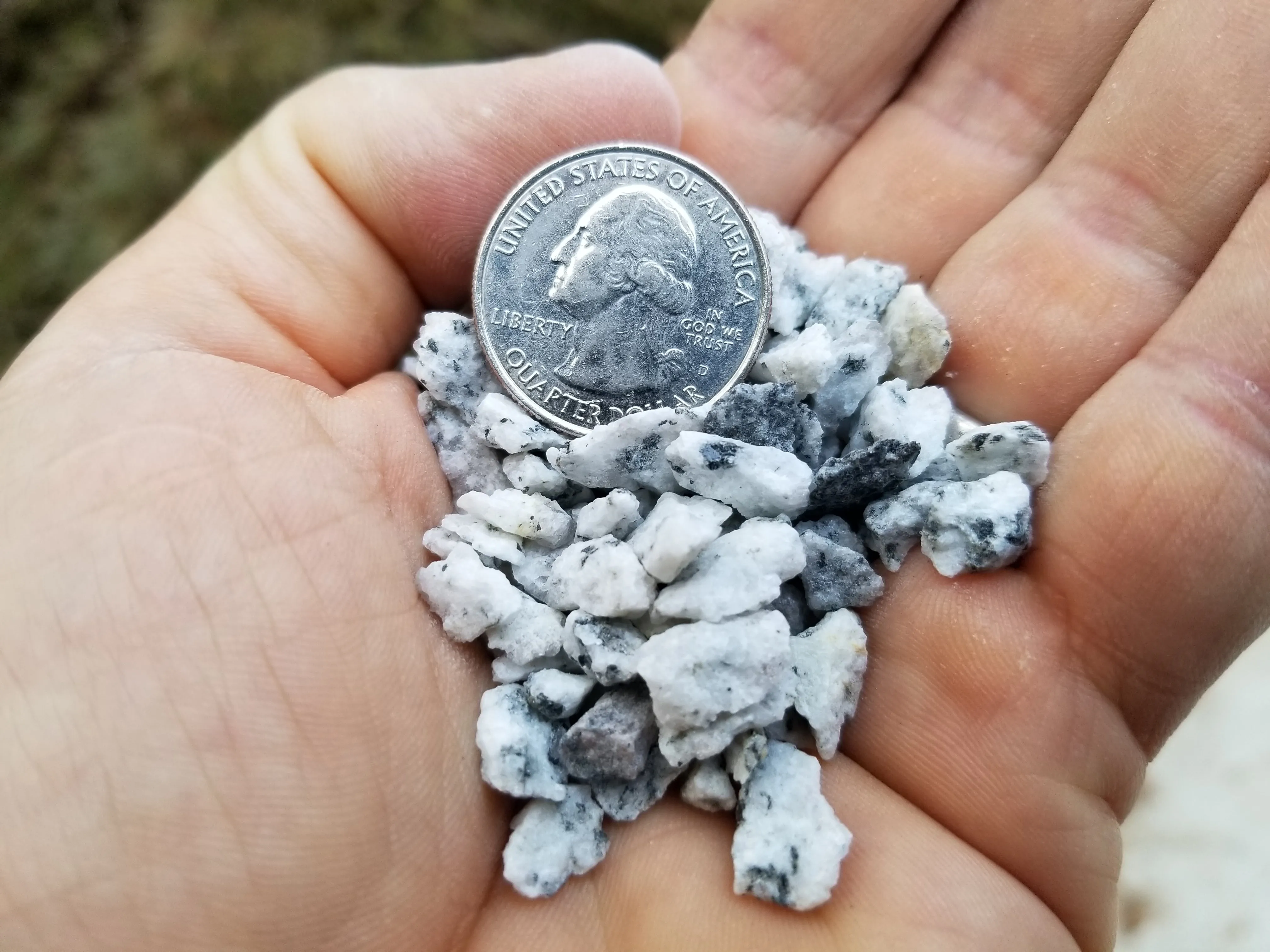 Layer Grit - 3 lb package. BUY 2  GET 1 FREE (see description on how to receive the discount)