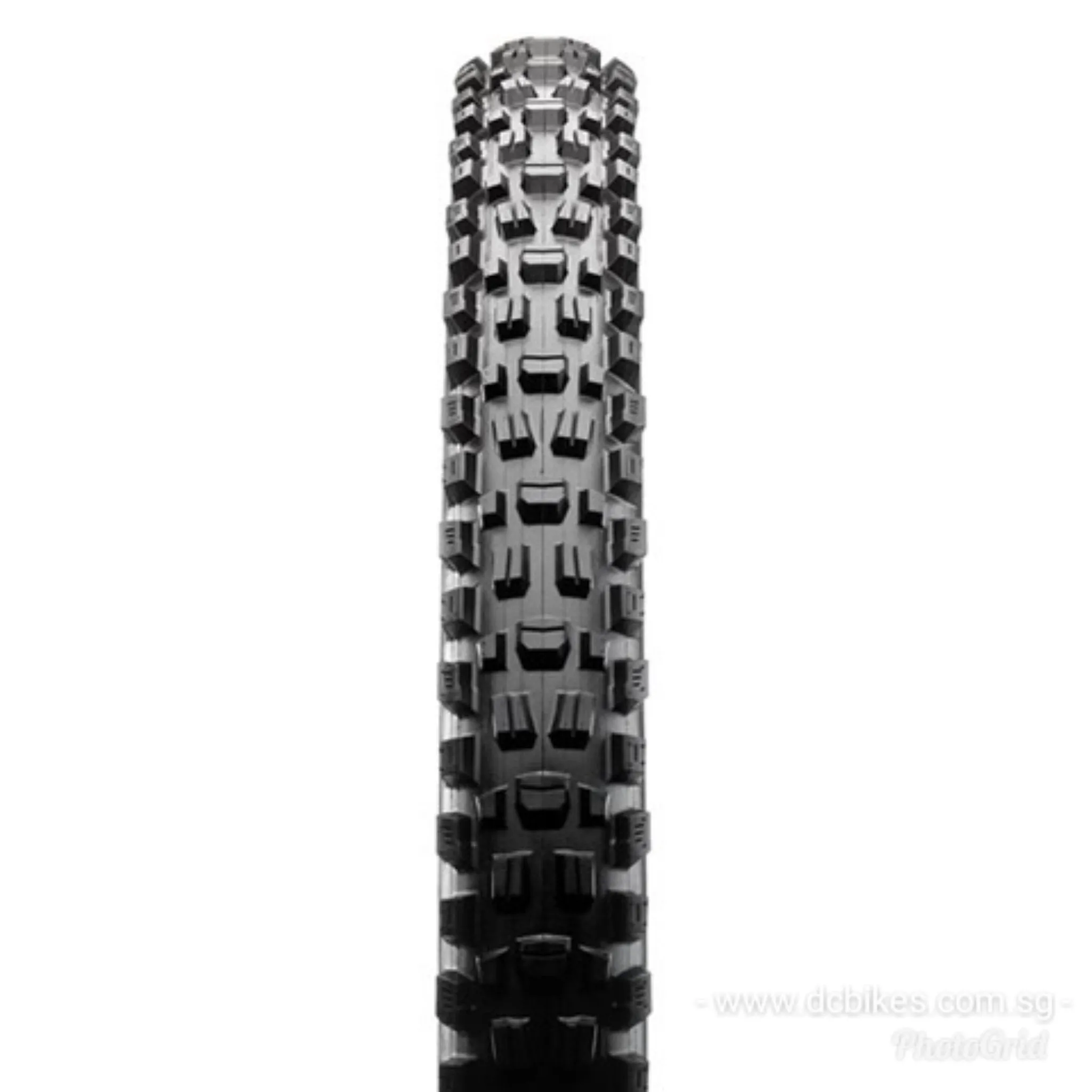 Maxxis Assegai 27.5 | 29 X 2.5 EXO WT Tubeless Ready Folding Tyres (1 Tire)