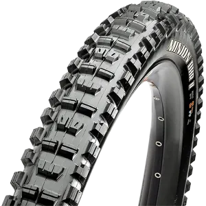Maxxis Minion DHR 2 20in Tyre