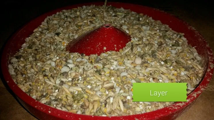 New Country Organics Standard Layer feed (with corn) 50 lb bag