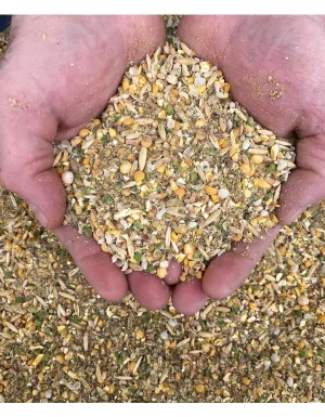New Country Organics Standard Layer feed (with corn) 50 lb bag