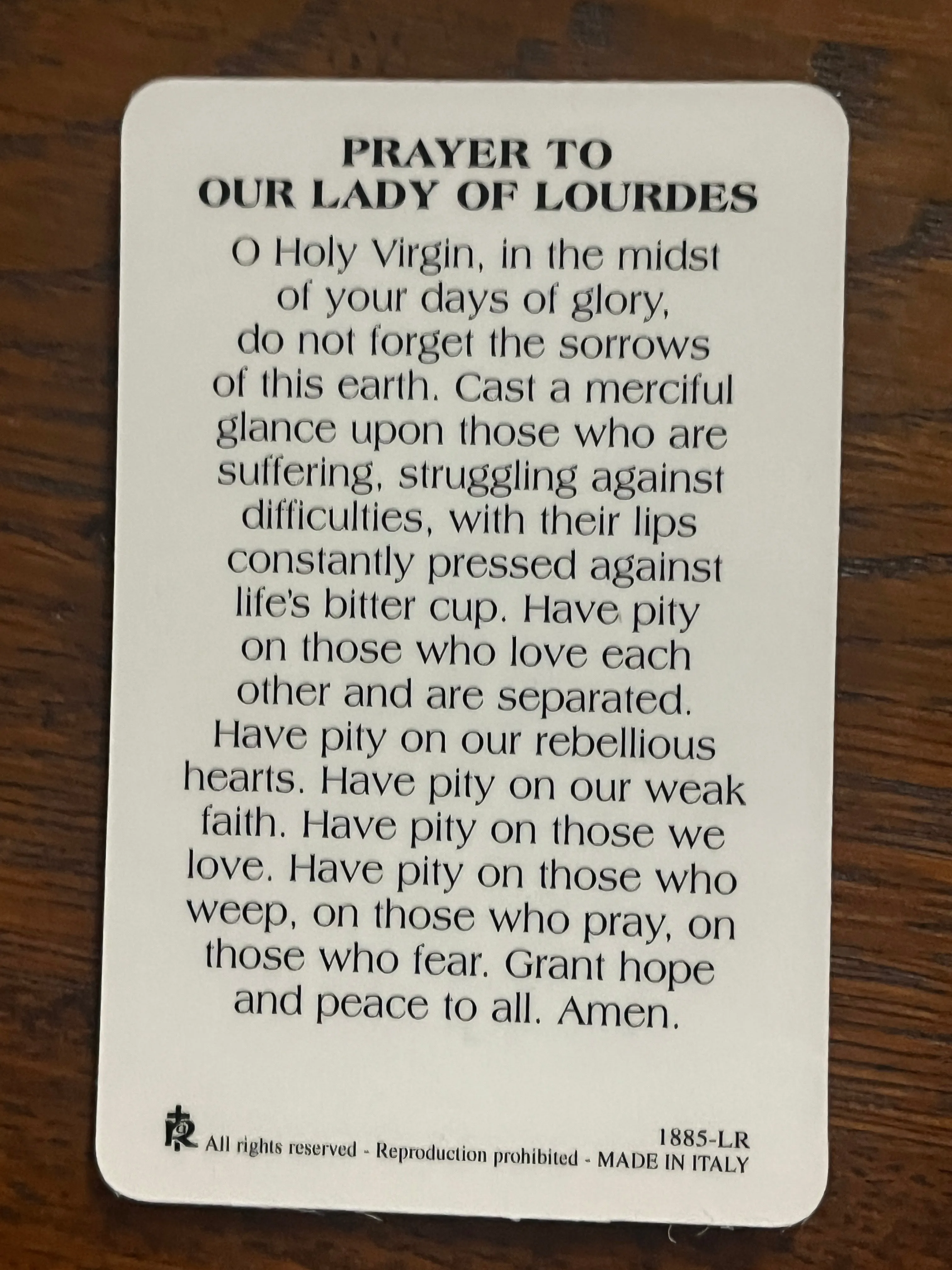 Our Lady of Lourdes Prayer Card and Medal