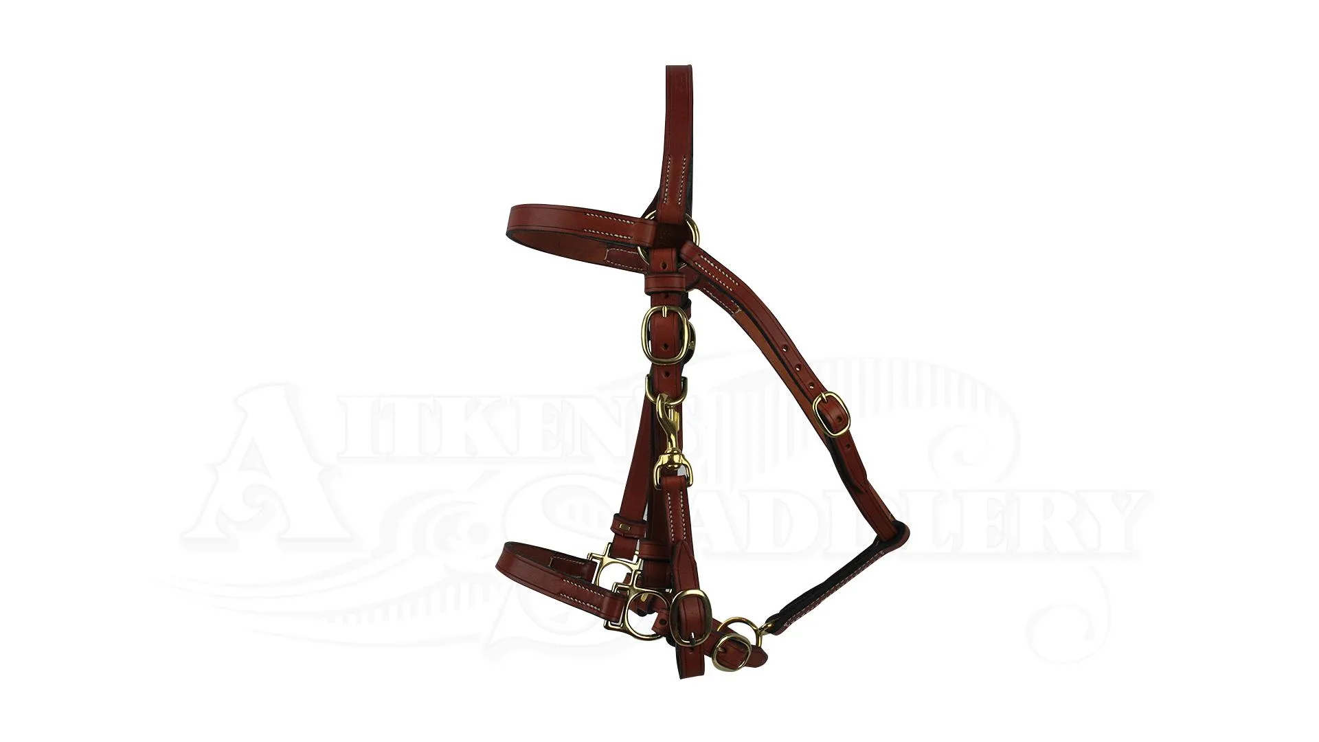 Porter Halter/Bridle Tan