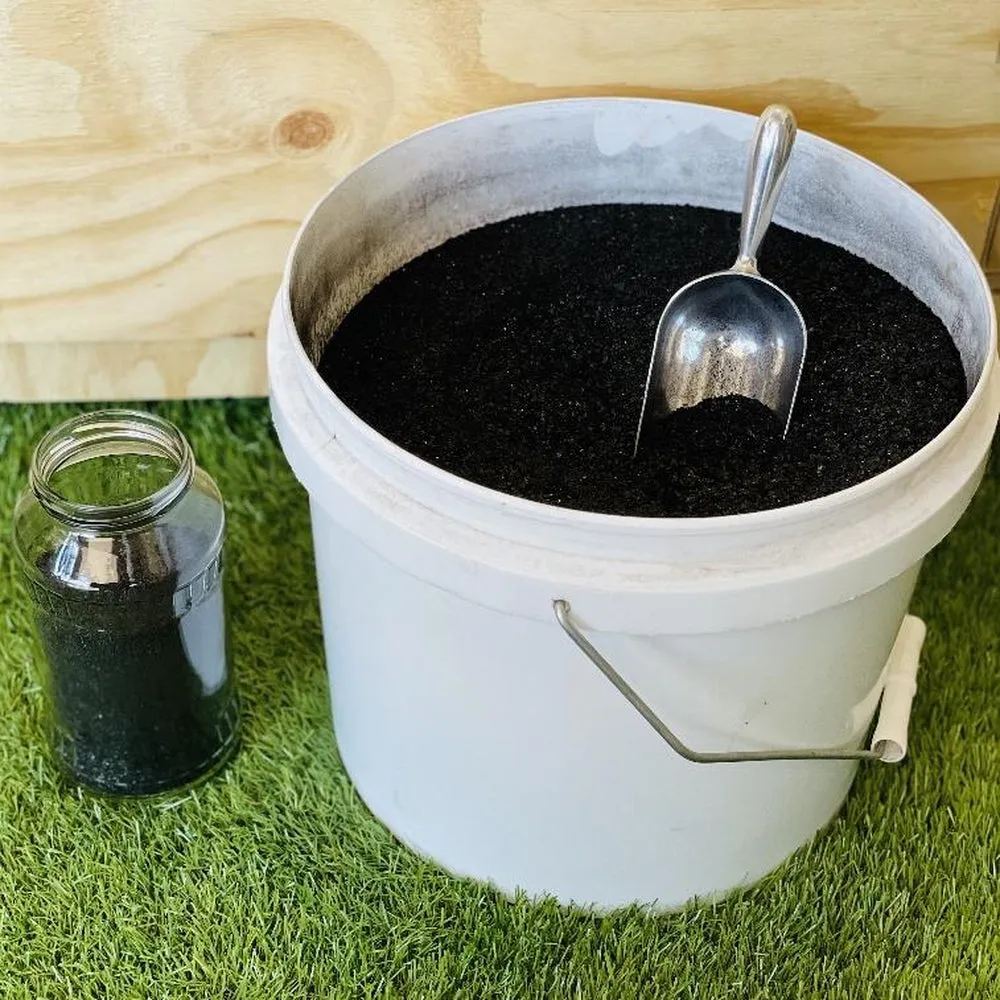 Powdered Kelp - Certified Organic - Buy in Bulk - In Store Only