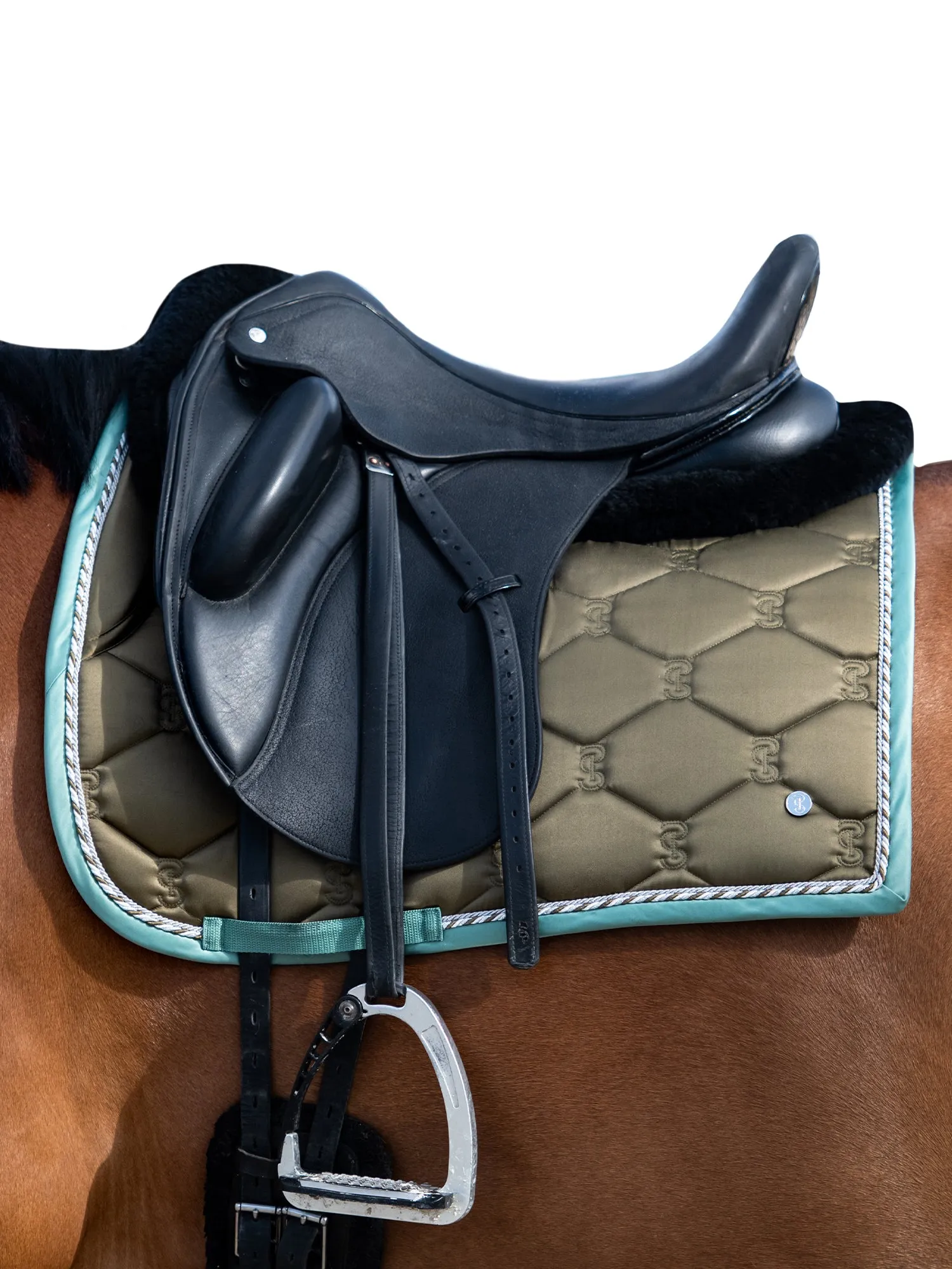 PS of Sweden Olive signature Dressage set