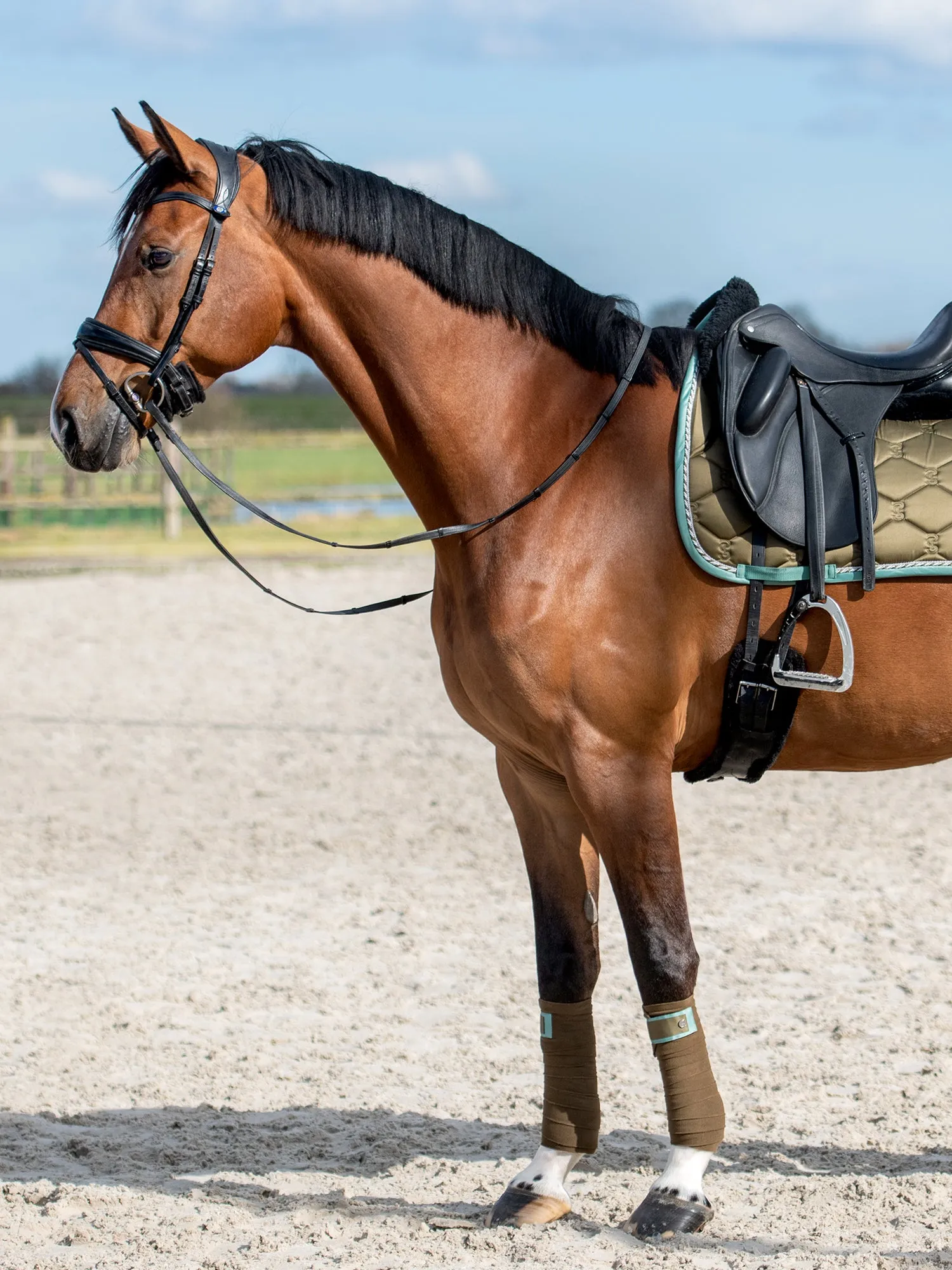 PS of Sweden Olive signature Dressage set
