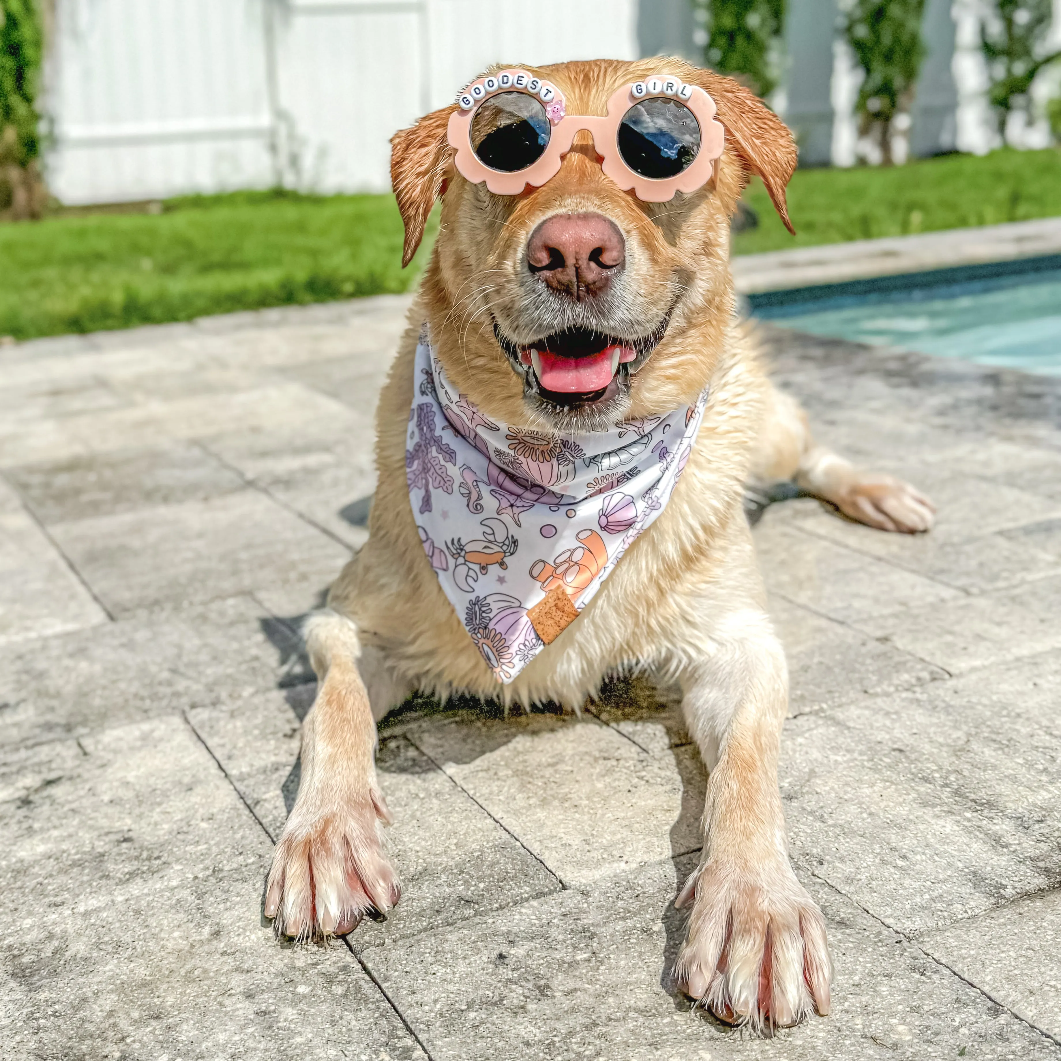 Quick Dry Under The Sea Bandana