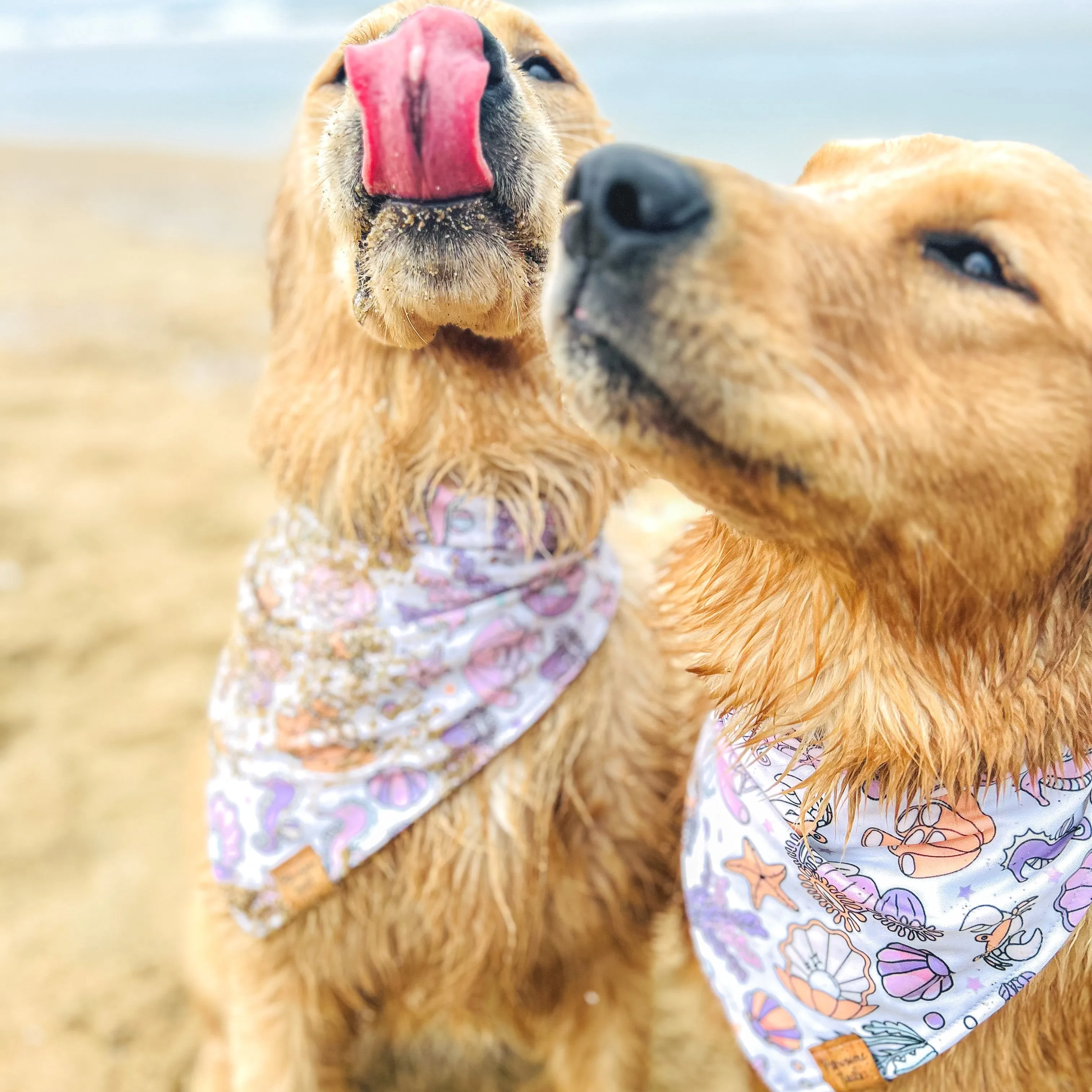 Quick Dry Under The Sea Bandana