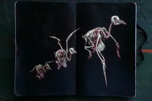 "Dead Messenger"