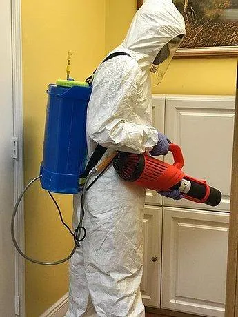 RENTAL - Disinfecting Electric Backpack Sprayer Machine