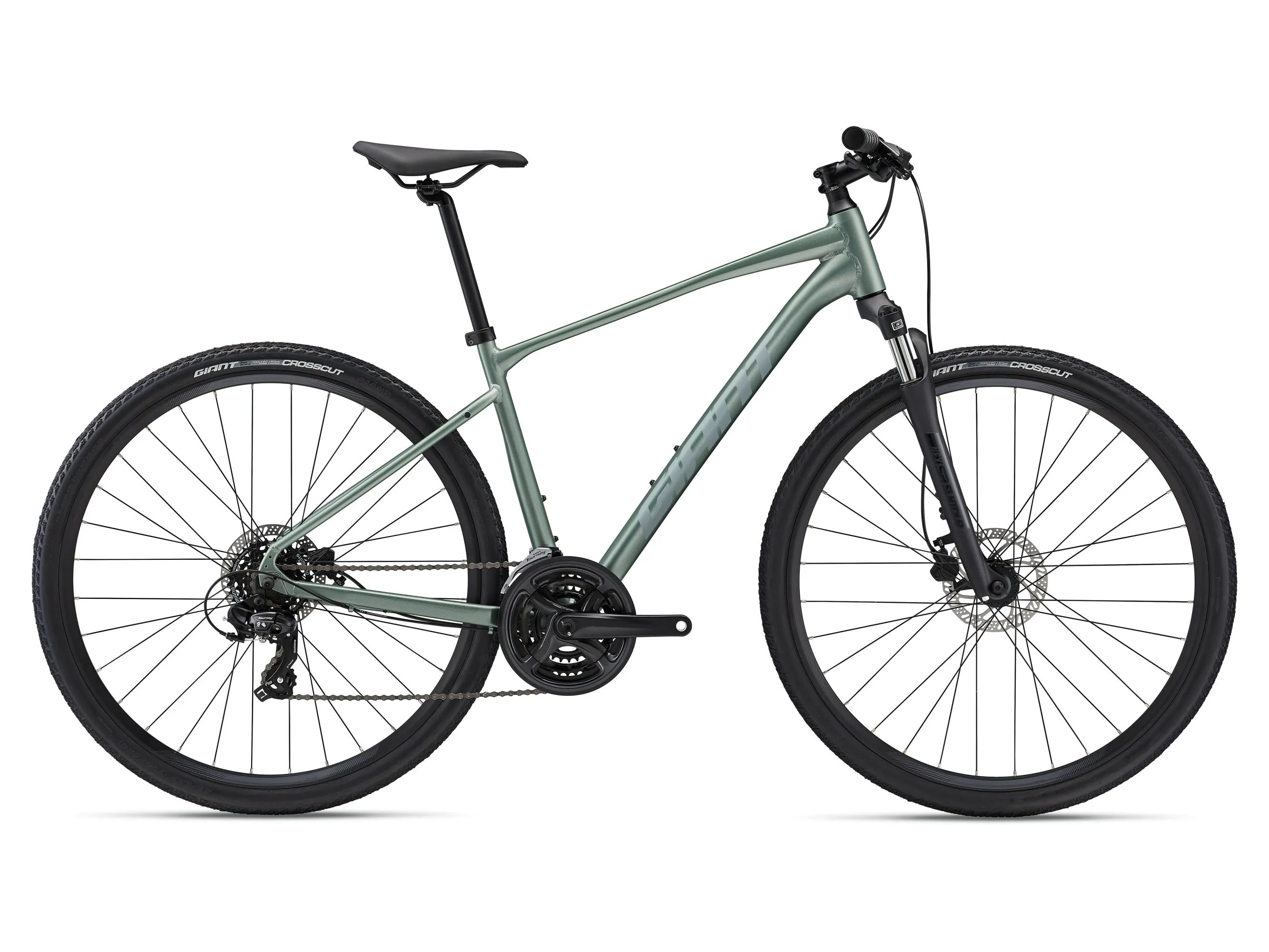 Roam 4 Disc