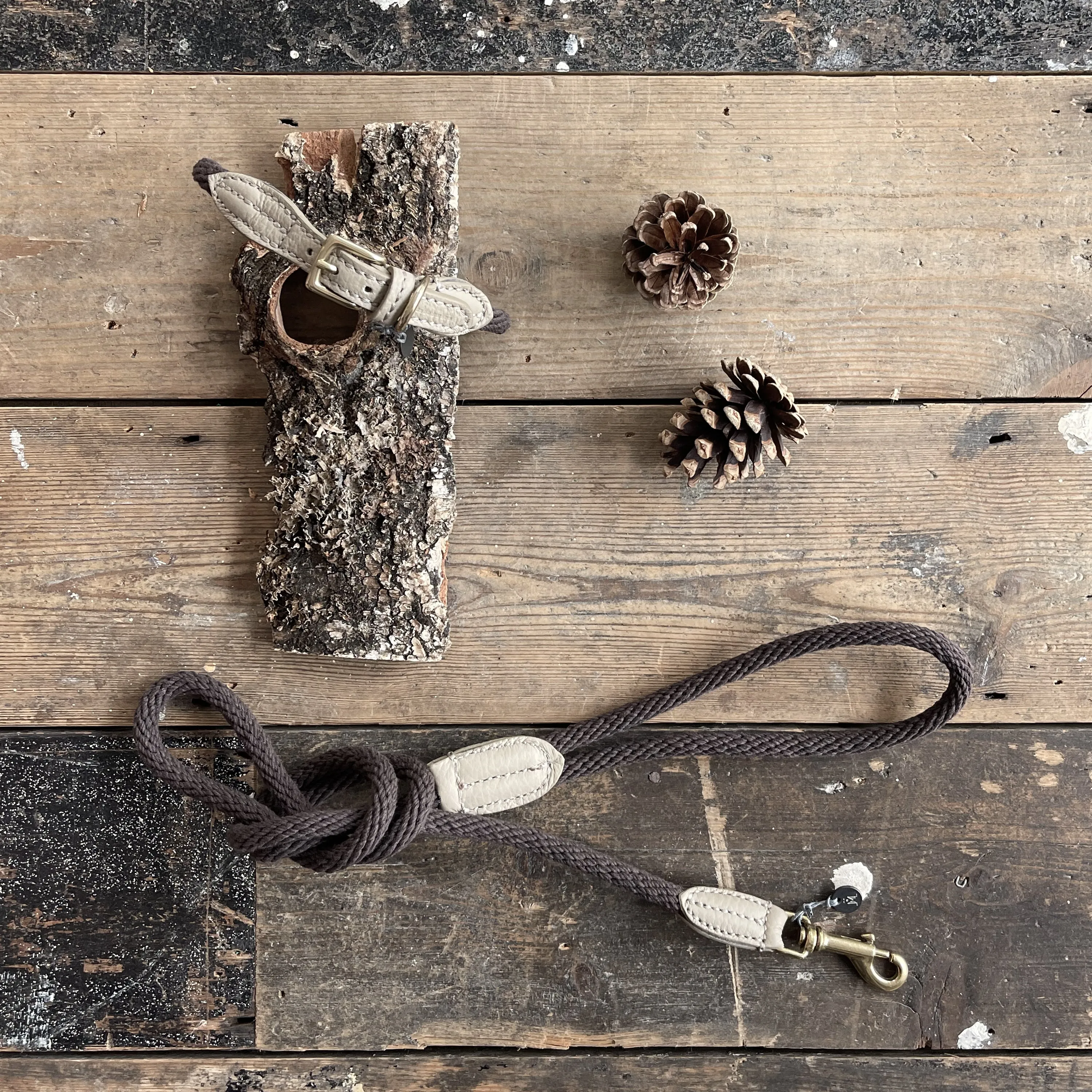 Rope Dog Lead