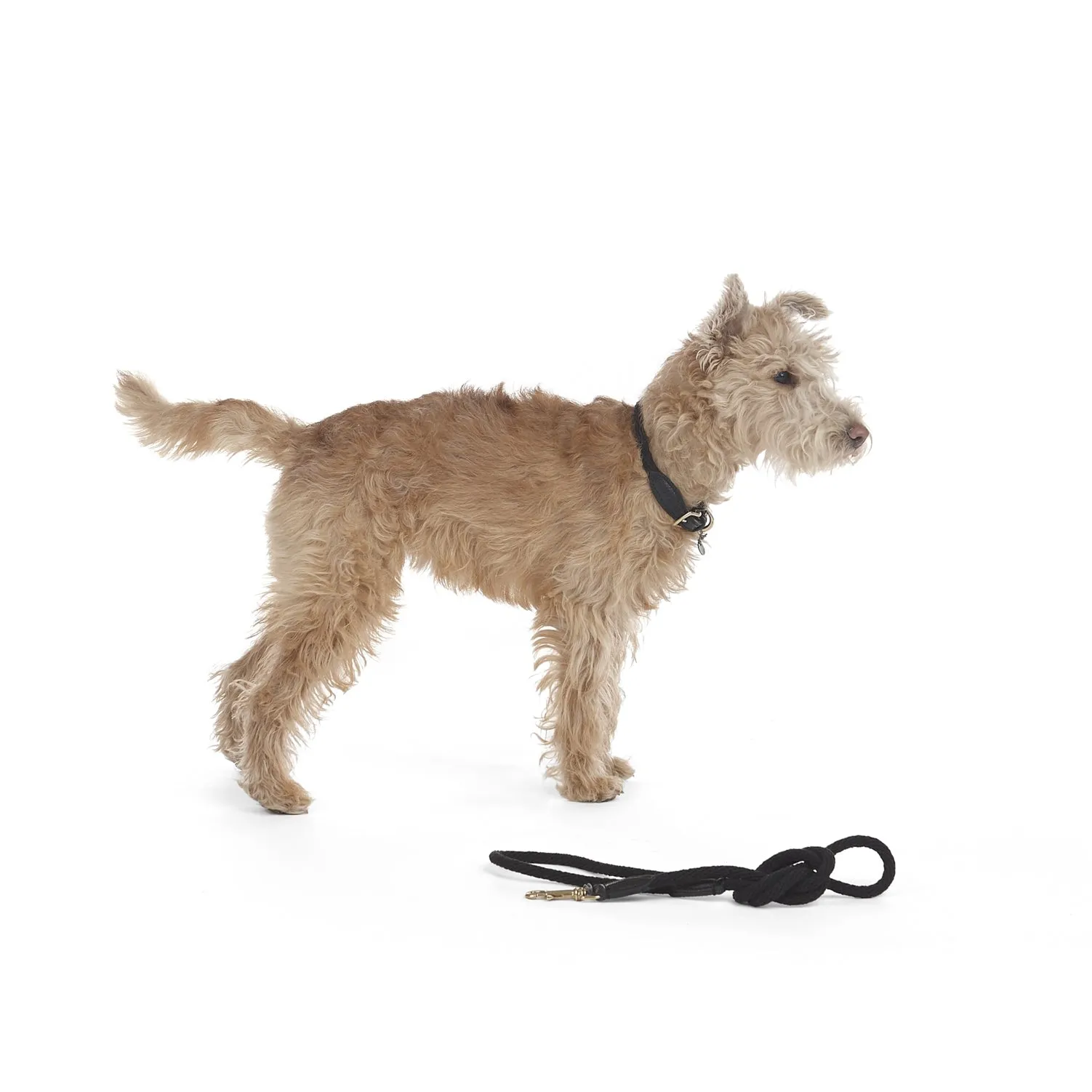 Rope Dog Lead