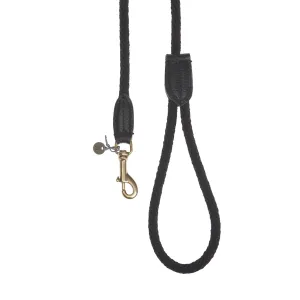 Rope Dog Lead