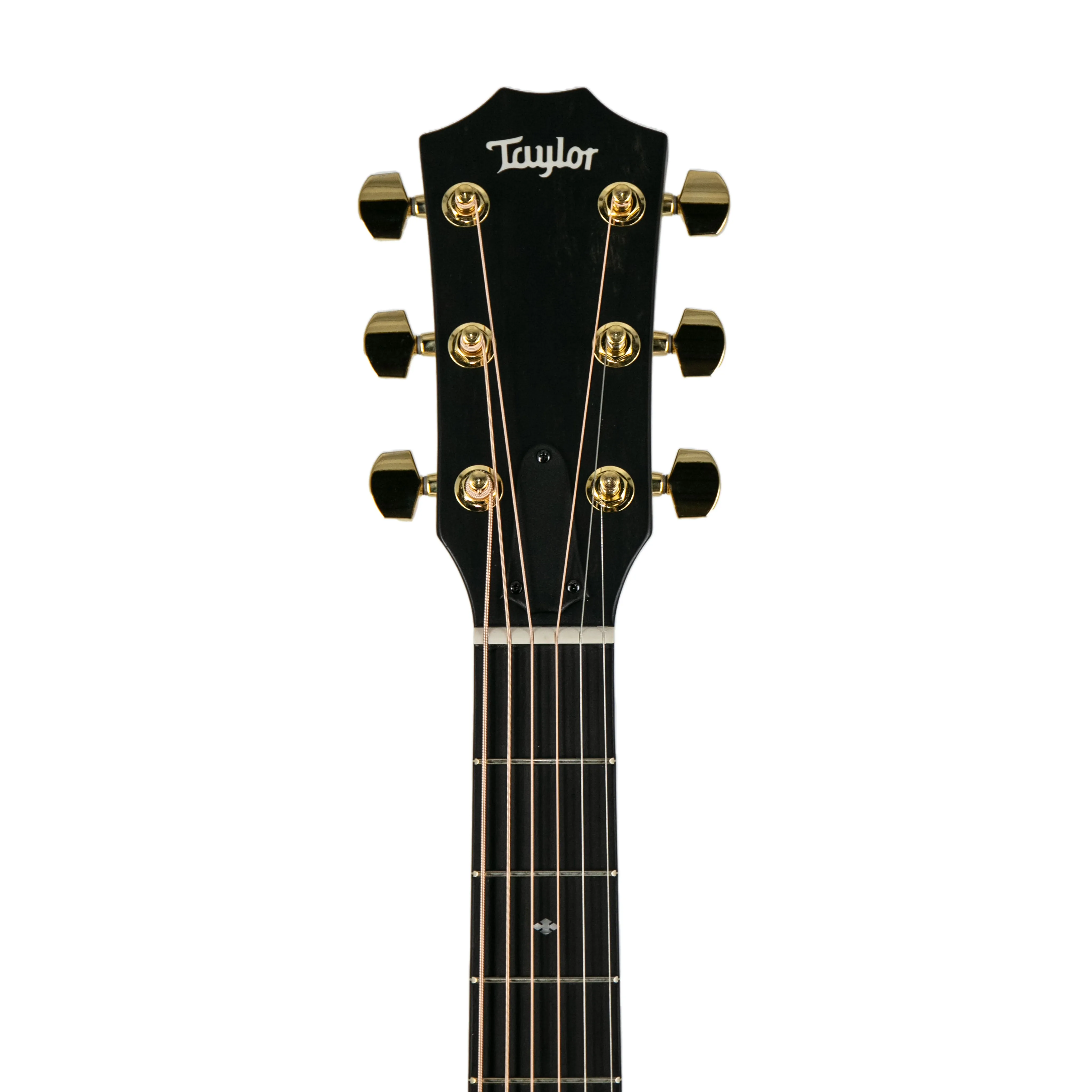 Taylor 224ce-UA DLX LTD Layered Urban Ash/Urban Ash Acoustic Guitar w/Case, Tobacco Sunburst