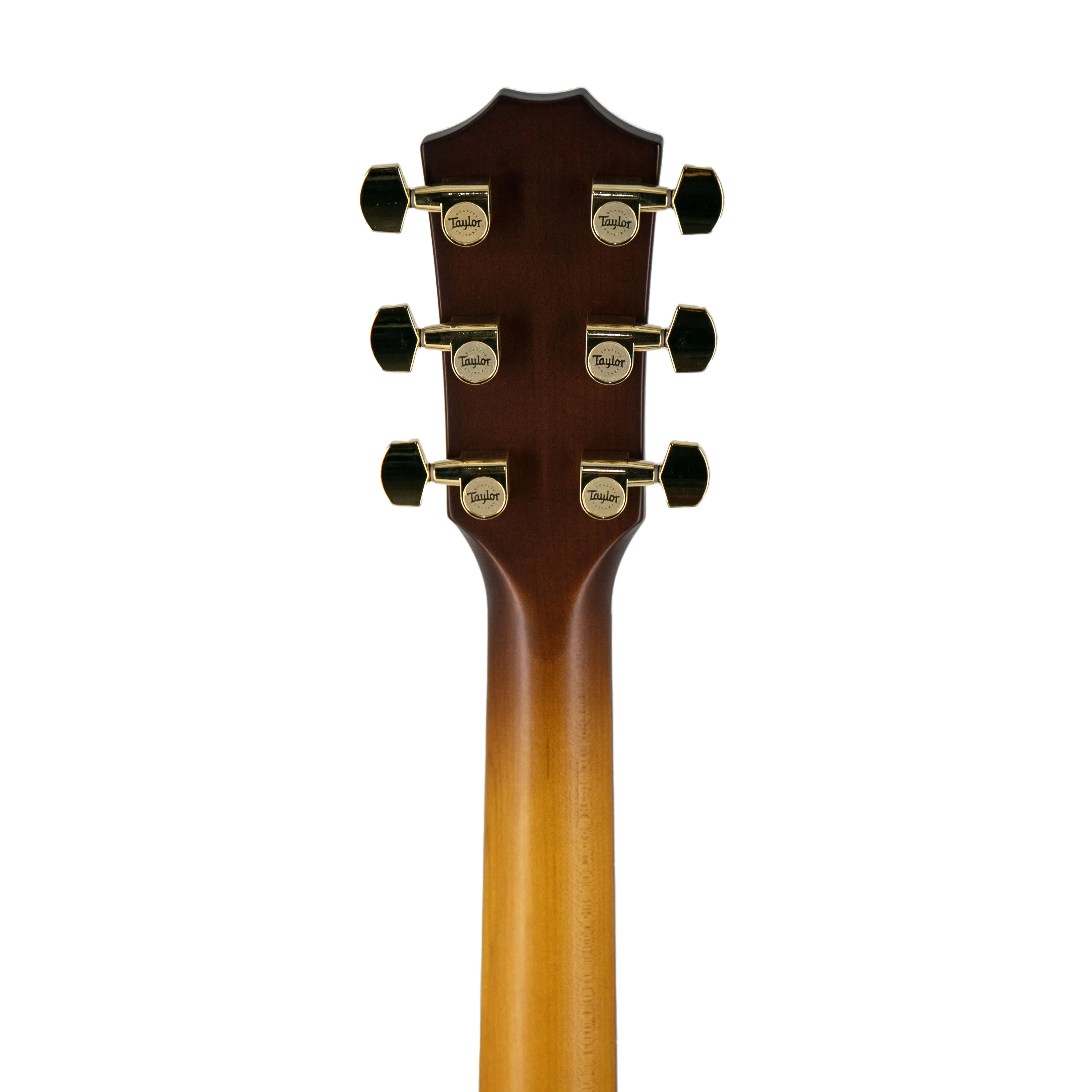 Taylor 224ce-UA DLX LTD Layered Urban Ash/Urban Ash Acoustic Guitar w/Case, Tobacco Sunburst