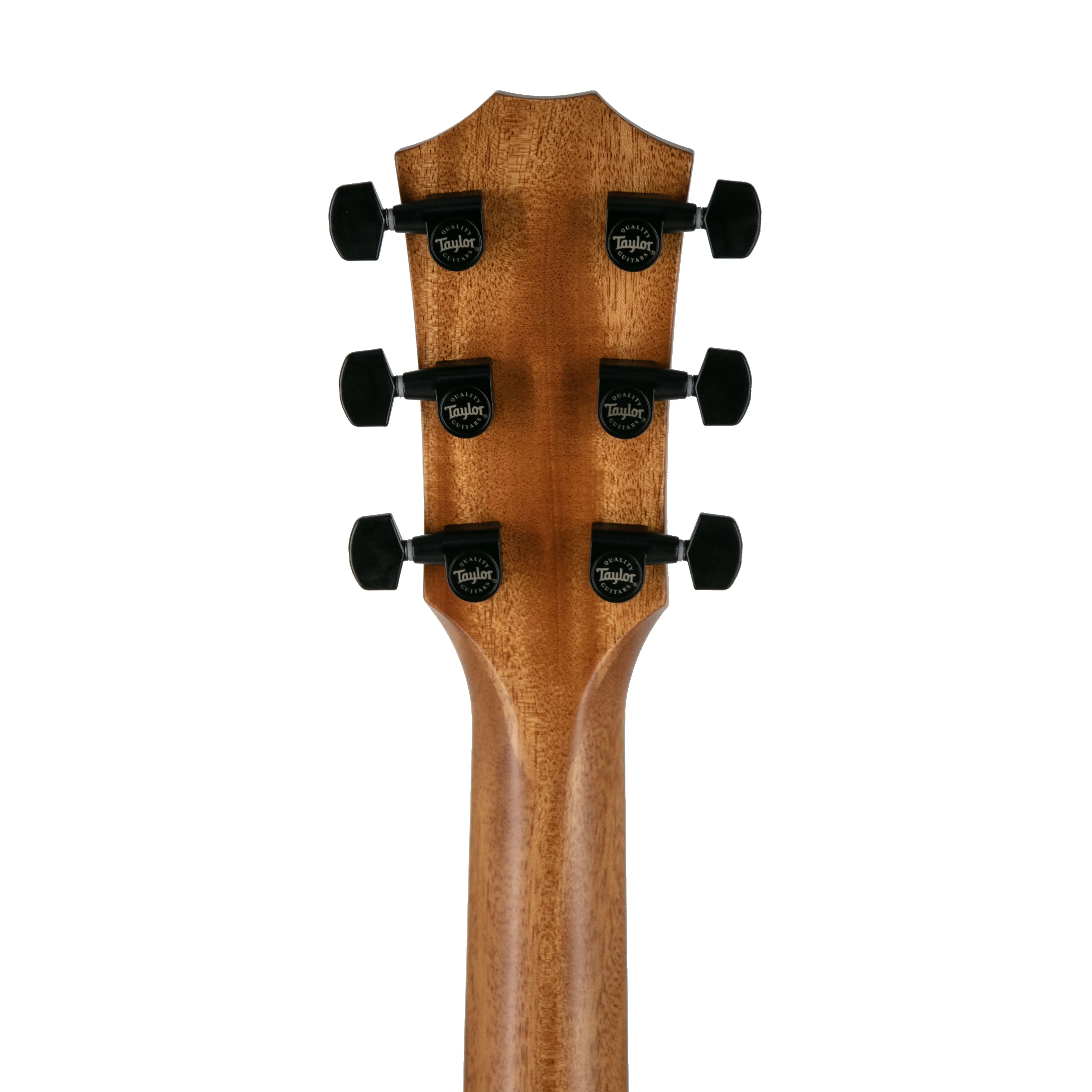 Taylor 424ce LTD Urban Ash/Urban Ash Grand Auditorium Acoustic Guitar w/Case