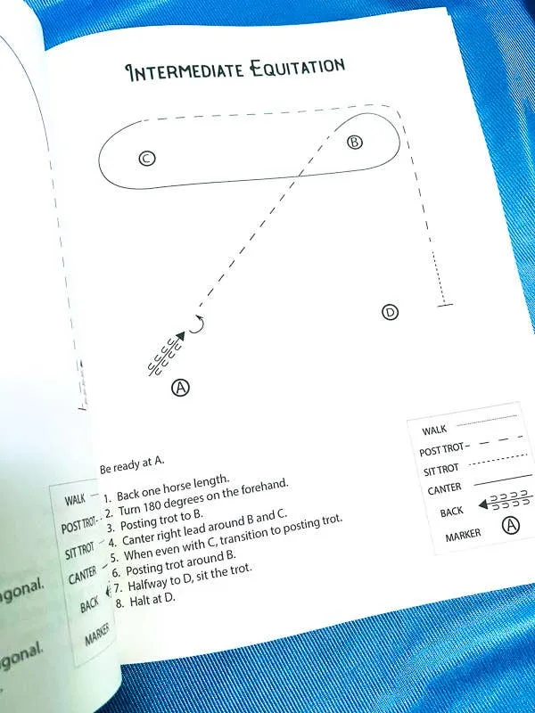 The Book of Horse Show Patterns
