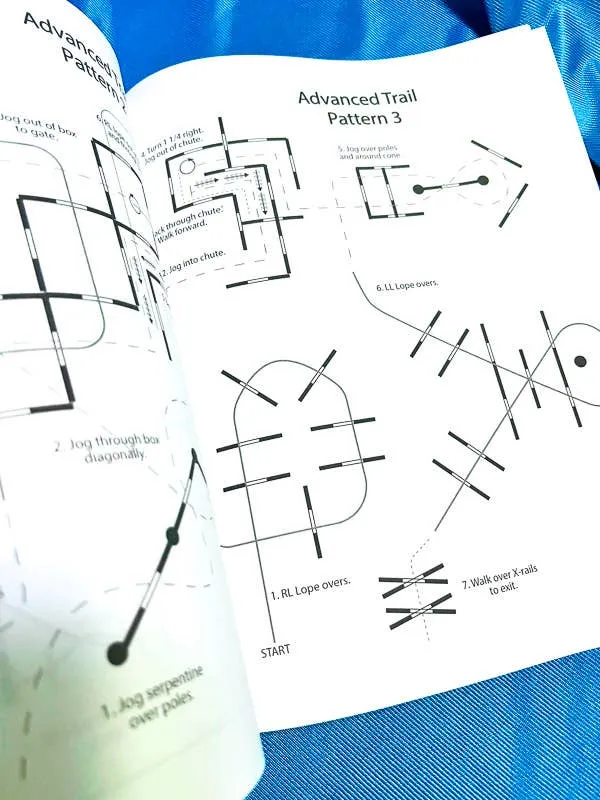 The Book of Horse Show Patterns
