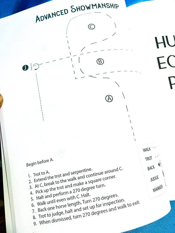 The Book of Horse Show Patterns
