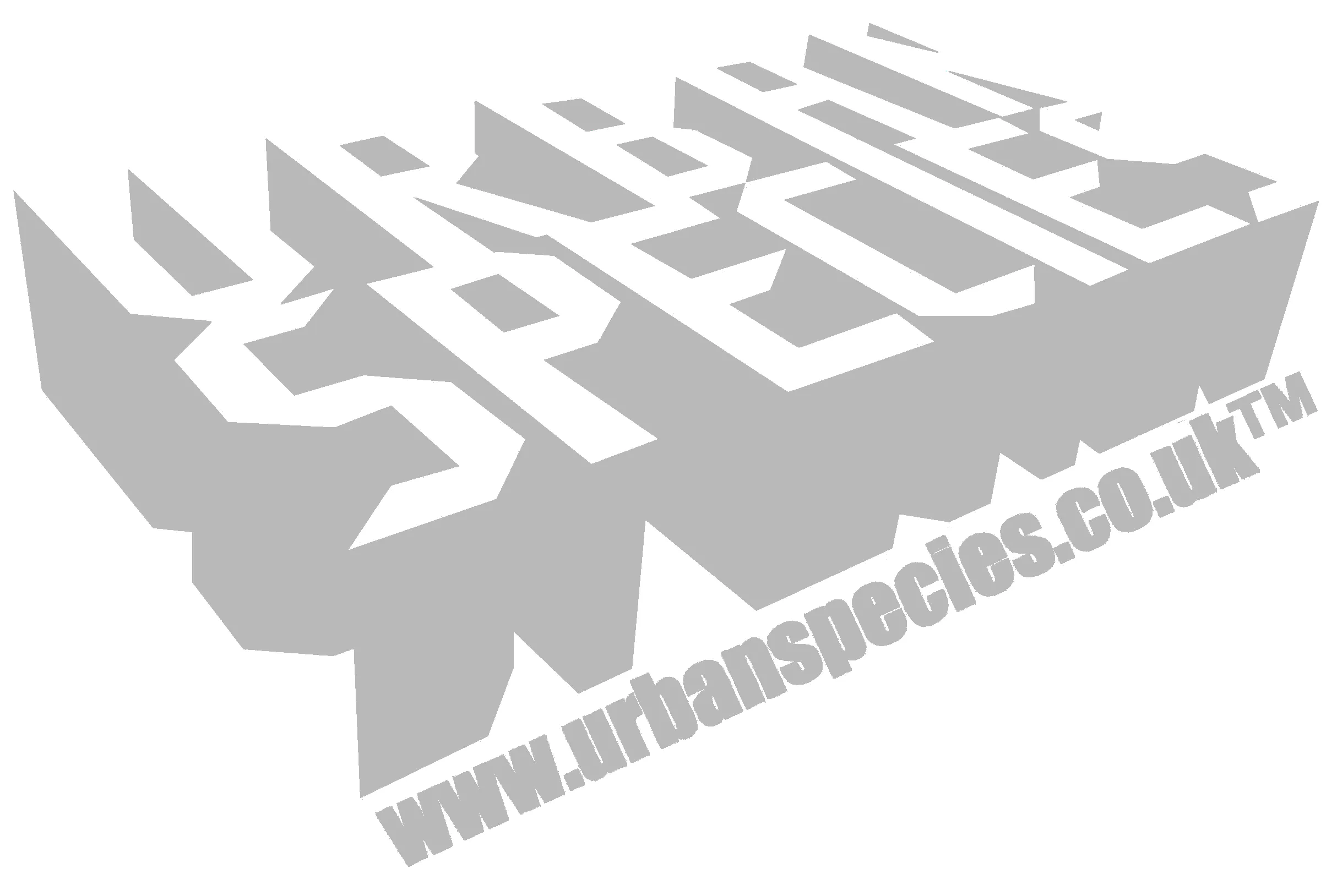 UA Supreme Star Sign Pisces Disk Women's T-shirt (Sports Grey)
