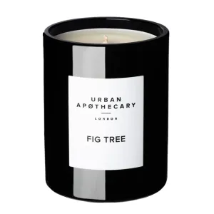 Urban Apothecary Fig Tree Signature Candle 300g