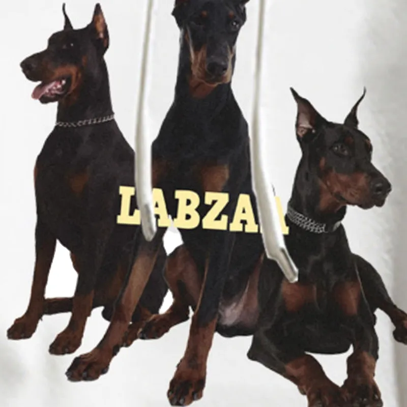 Urban Doberman Dog Graphic Hoodie