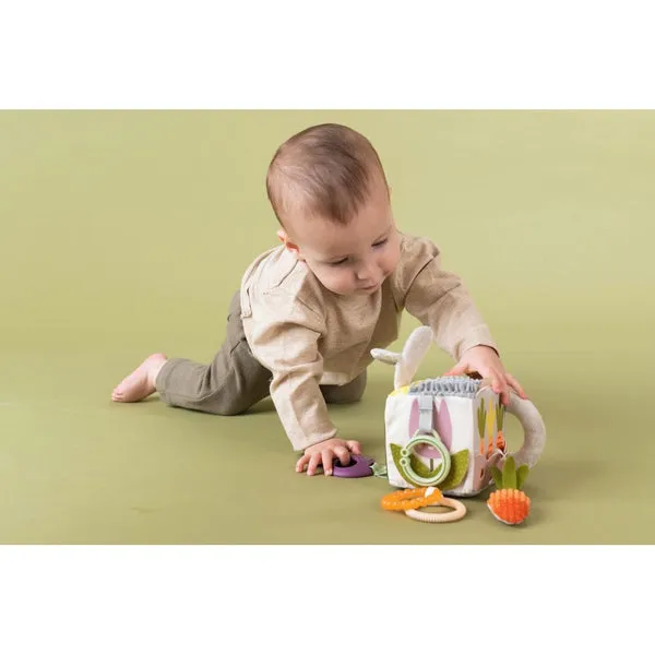 Urban Garden Activity Cube
