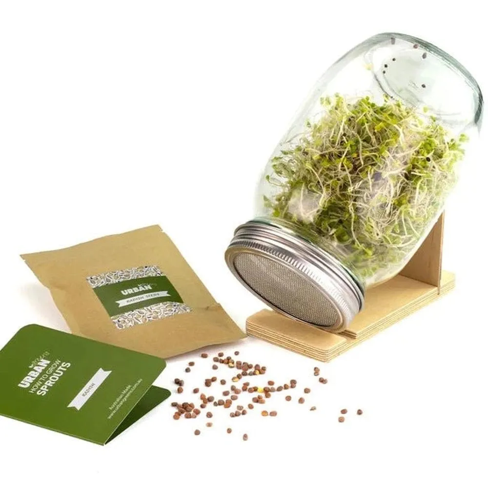 Urban Greens Radish Sprouts Jar Kit